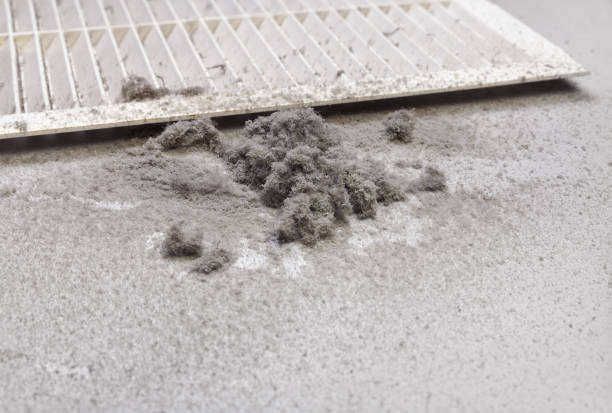 Best Commercial Air Duct Cleaning  in Holly Springs, NC